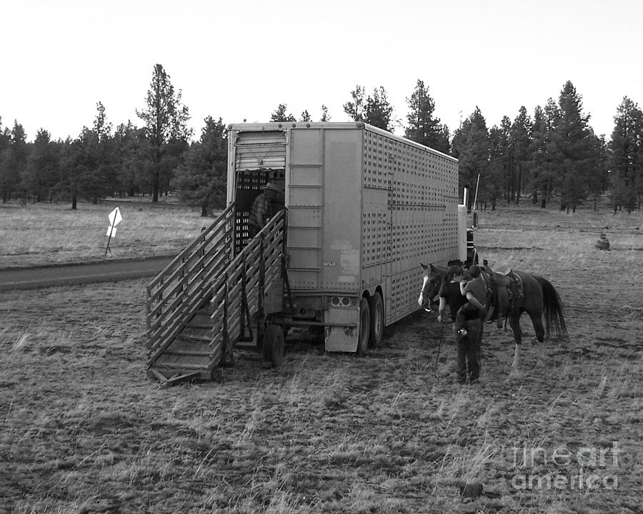 Ready to offload cattle hauler Photograph by Pamela Walrath