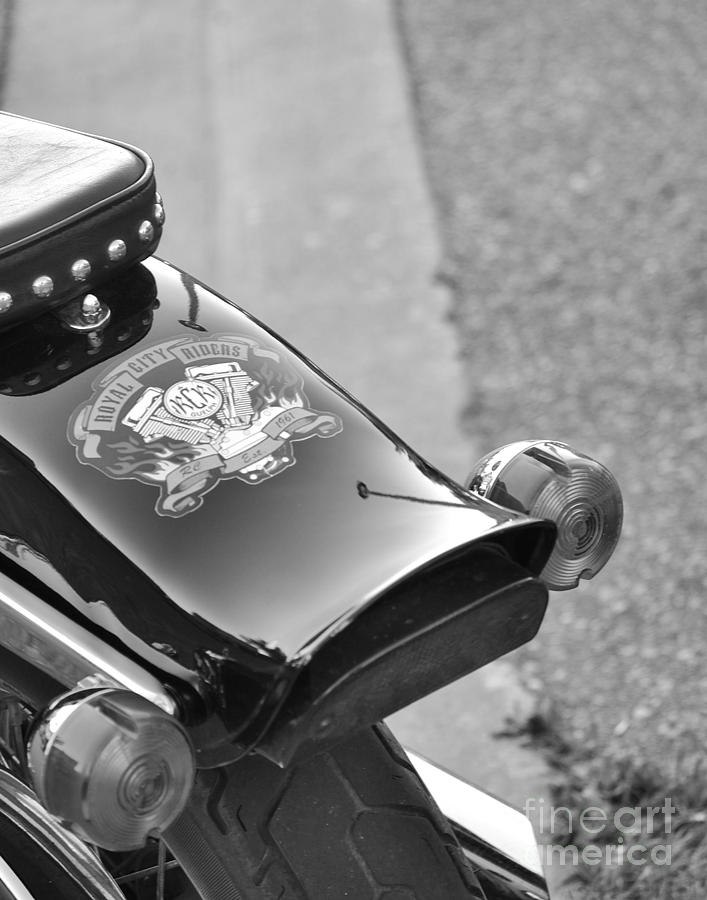 Motorcycle Photograph - Rear View by Traci Cottingham