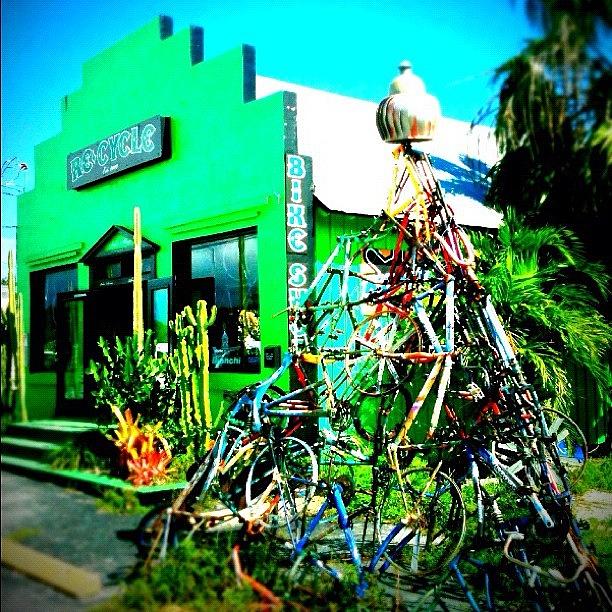 Key West Photograph - ReCycle Bicycle  by Casey Fessler