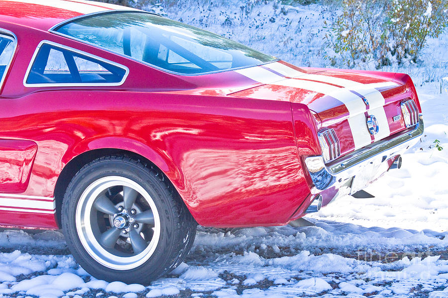 Red 1966 Ford Mustang Shelby Back  Photograph by James BO Insogna