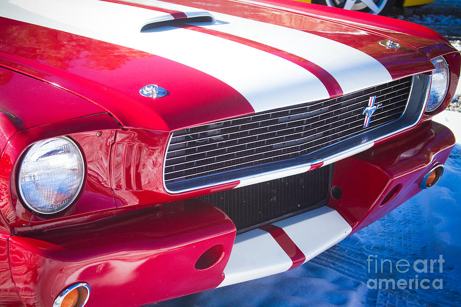 Red 1966 Ford Mustang Shelby Front Close Photograph by James BO Insogna