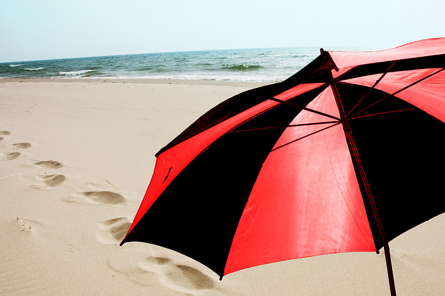 red and black umbrella