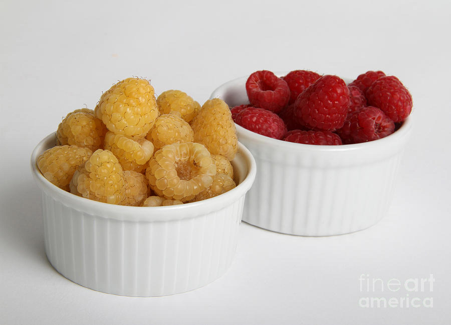 Red And Golden Raspberries Photograph by Photo Researchers, Inc.