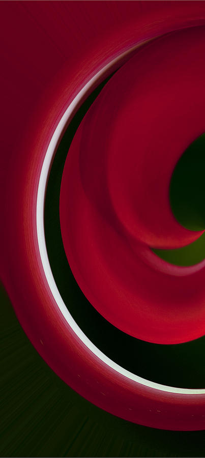 Red and Green Abstract Left Side Photograph by Pat Exum