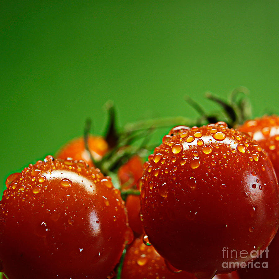 Red and green Photograph by Andreas Berheide