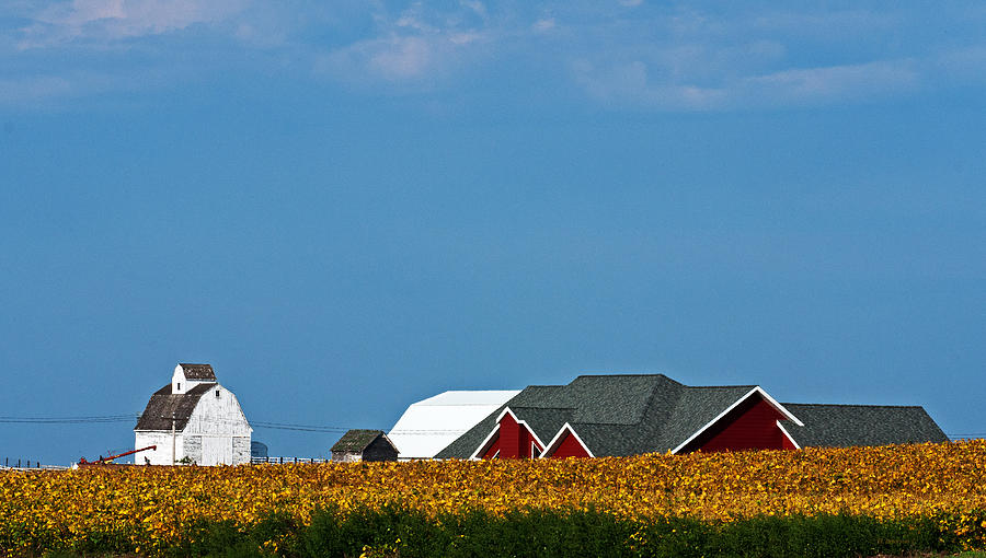 Red And White Barns Photograph by Ed Peterson