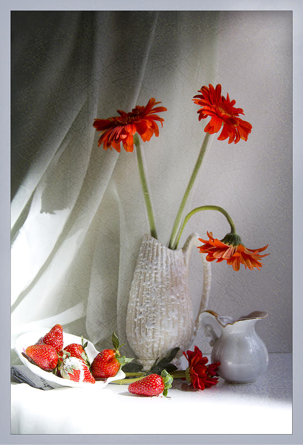 Still Life Photograph - Red  and White by Marina Astakhova
