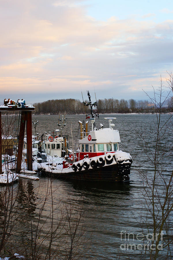 Red And White Tug Photograph