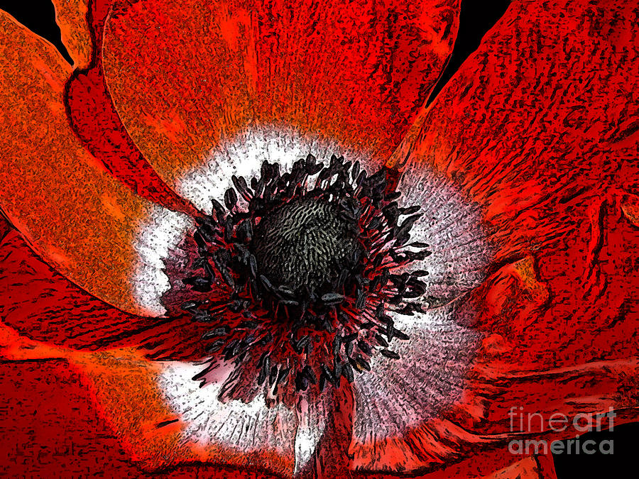 Red Anemone Painting by Victoria Page