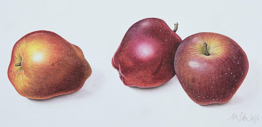 Apple Painting - Red Apples by Margaret Ann Eden