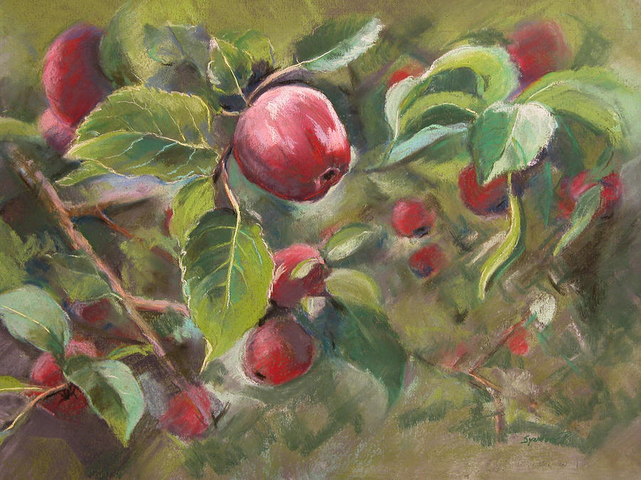 Red Apples Painting by Synnove Pettersen
