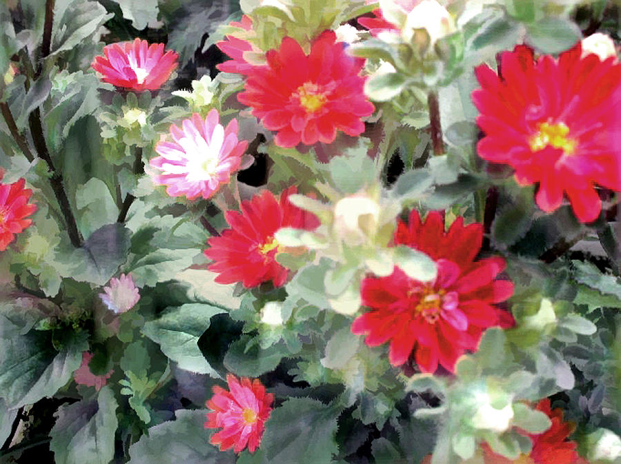 Red Asters Painting by Elaine Plesser