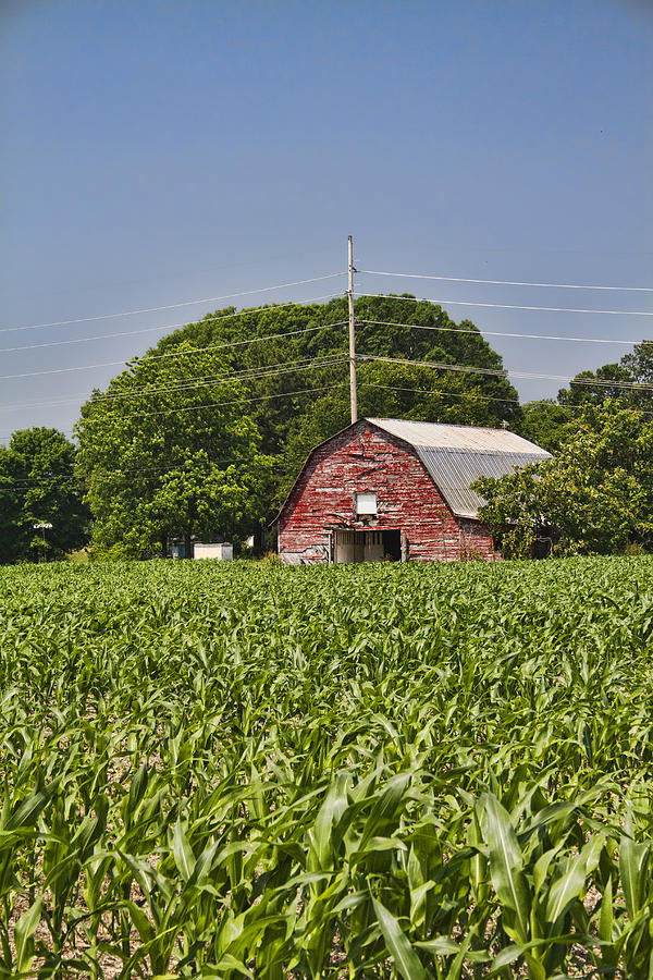 Tree Photograph - Red Barn - What Charm by Kathy Clark