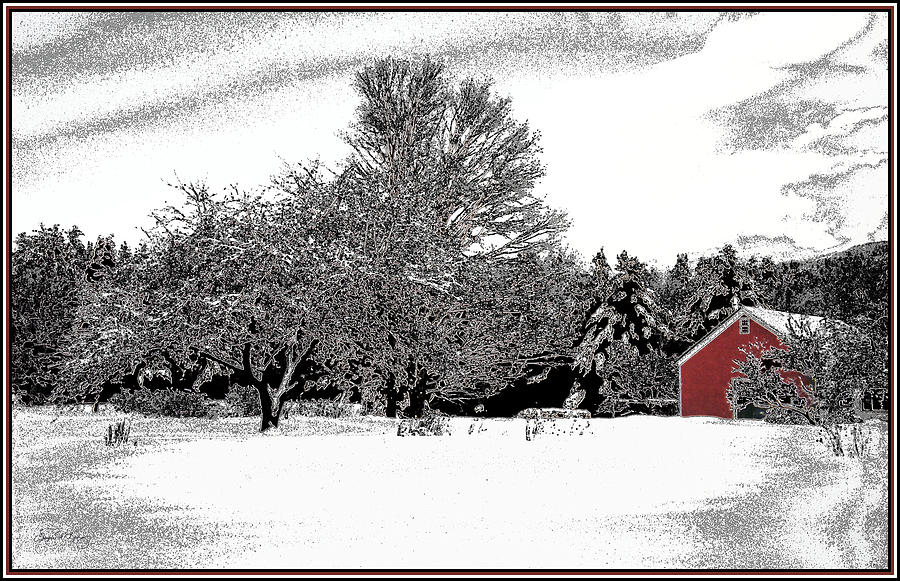 Red Barn and Apple Trees Photograph by Wayne King