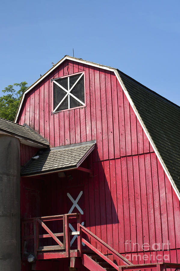 Summer Photograph - Red barn by Blink Images