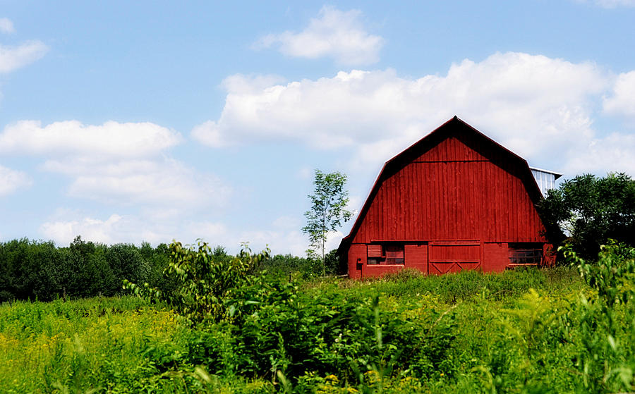 Red Barn In A Green Field With A Blue Sky Photograph by Mary Frances ...