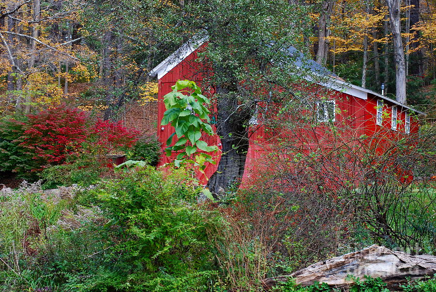 Red Barn in Autumn I Photograph by Andrea Simon