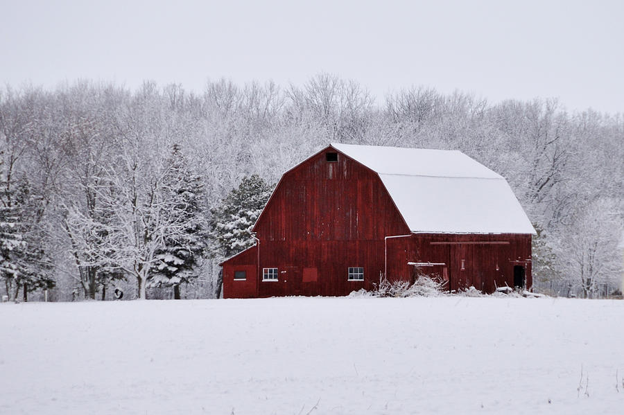 Red Barn in Snow Photograph by Kriss Olgren - Fine Art America