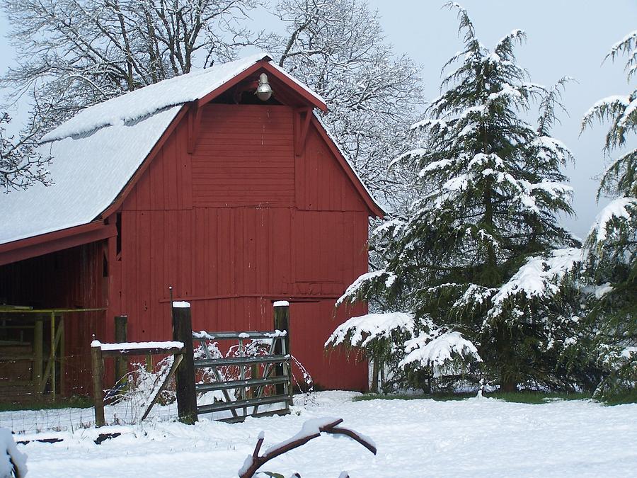 Red Barn In Winter Photograph by Kay Reamensnyder