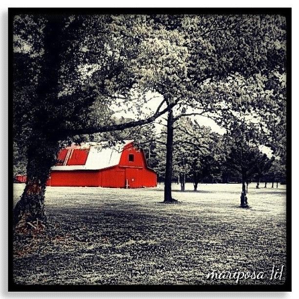 Landscape Photograph - Red Barn by Mari Posa