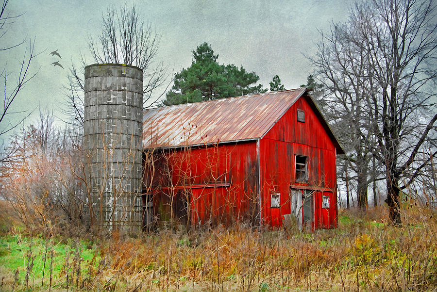 Red Barn Photograph by Mary Timman