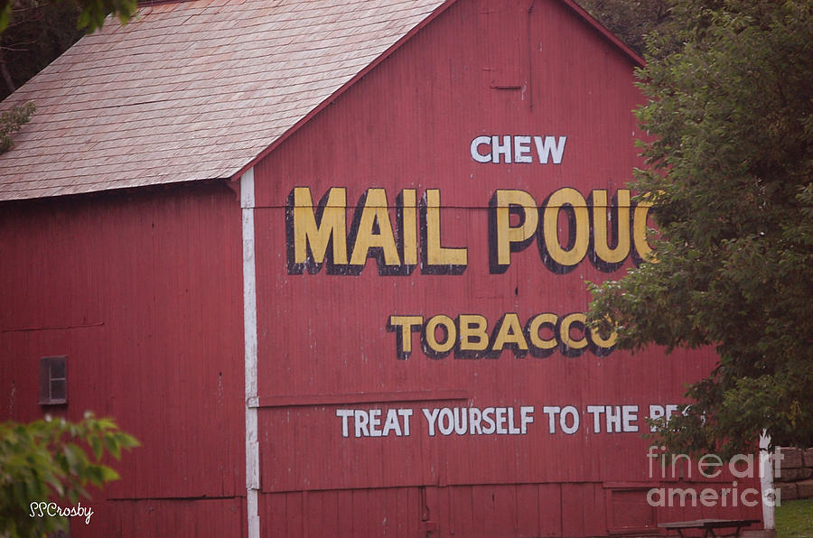 Red Barn with Mail Pouch Ad Photograph by Susan Stevens Crosby
