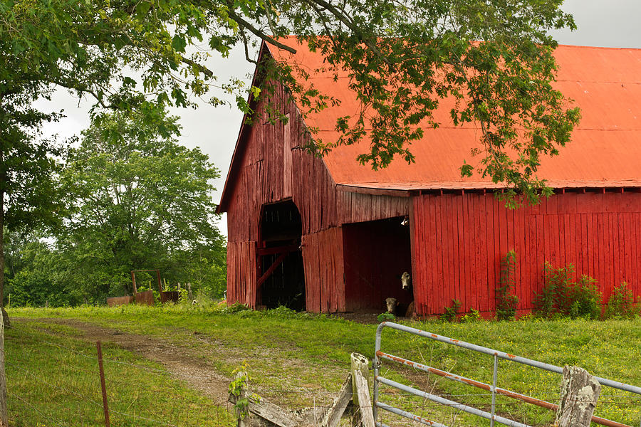 Red Barn with Orange Roof 1 Photograph by Douglas Barnett - Fine Art ...