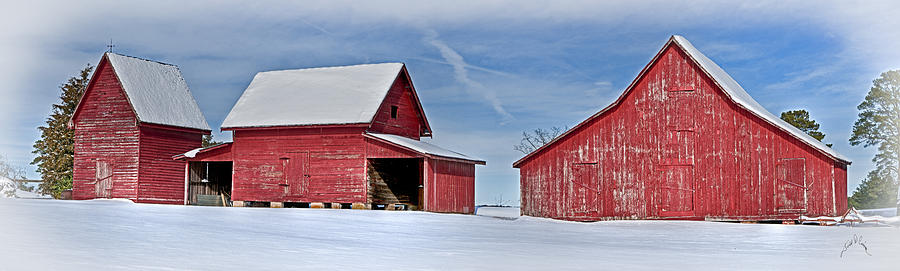 Red Barns in the Snow Photograph by T Cairns