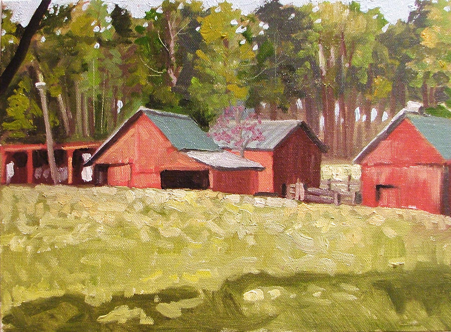 Barn Painting - Red Barns on a sunny day by Charles Scogins