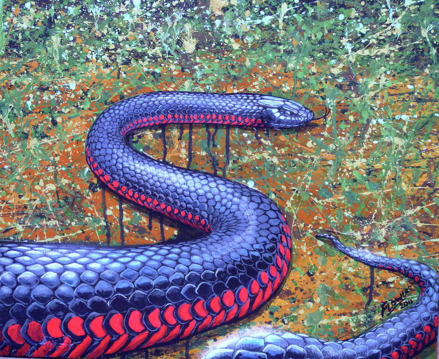 Red Bellied Black Snake Painting