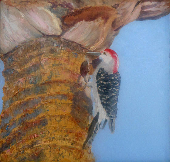 Wood Pecker Painting - Red Belly by Libby Cagle Wood Pecker Painting - Red Belly by Libby Cagle