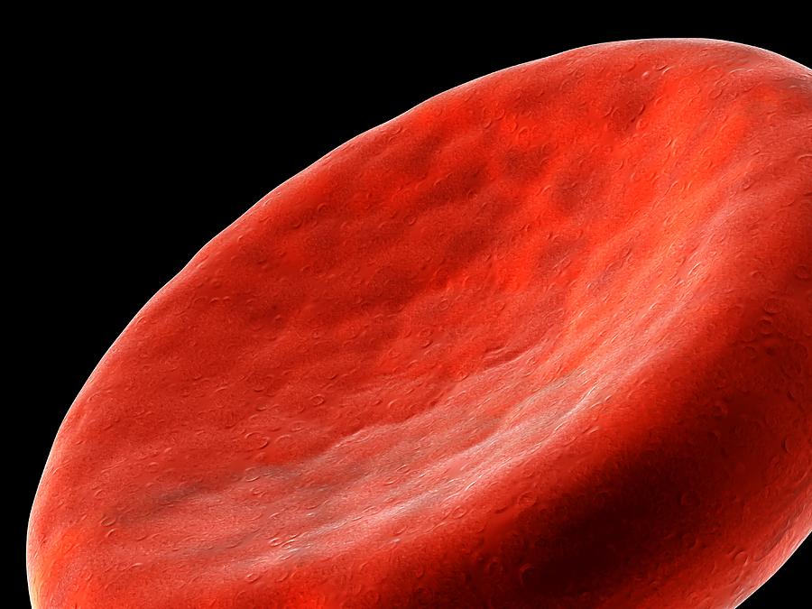 Red Blood Cell Photograph - Red Blood Cell, Artwork by Pasieka