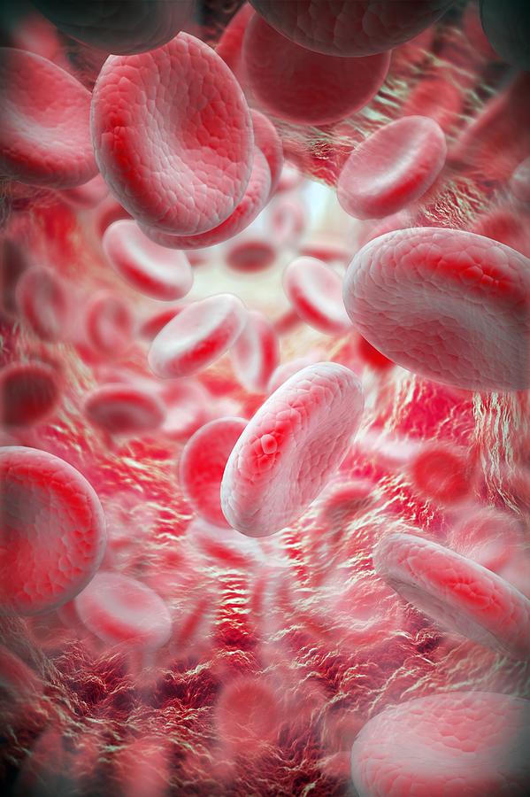 Red Blood Cells, Artwork Digital Art by Andrzej Wojcicki