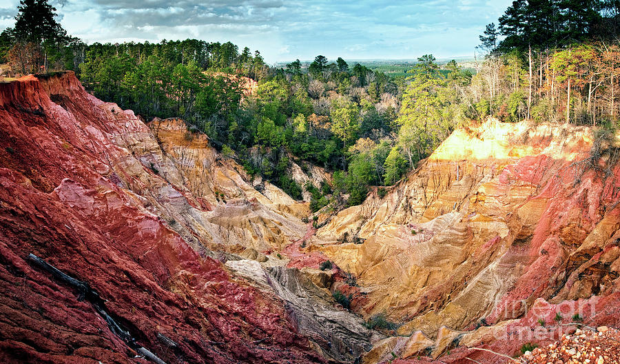 Mississippi Red Bluff  Photograph by Tamyra Ayles