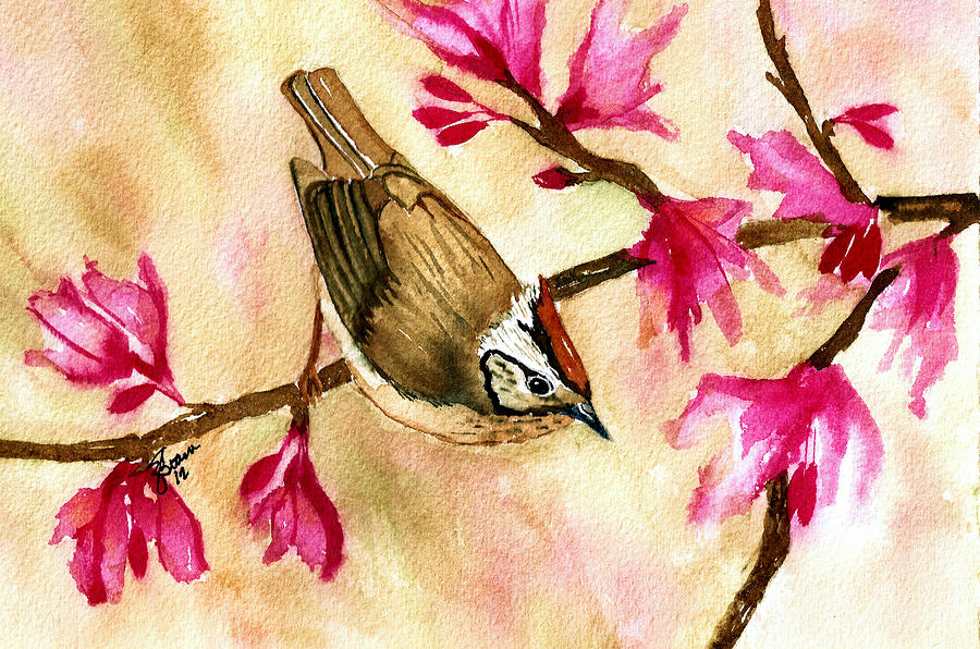 Red Breasted Nuthatch with Pink Blossoms Painting by Elise Boam