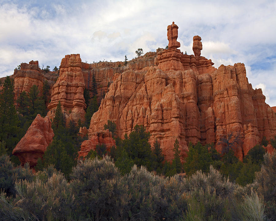 Red Canyon Hoodoos Photograph by Gregory Scott