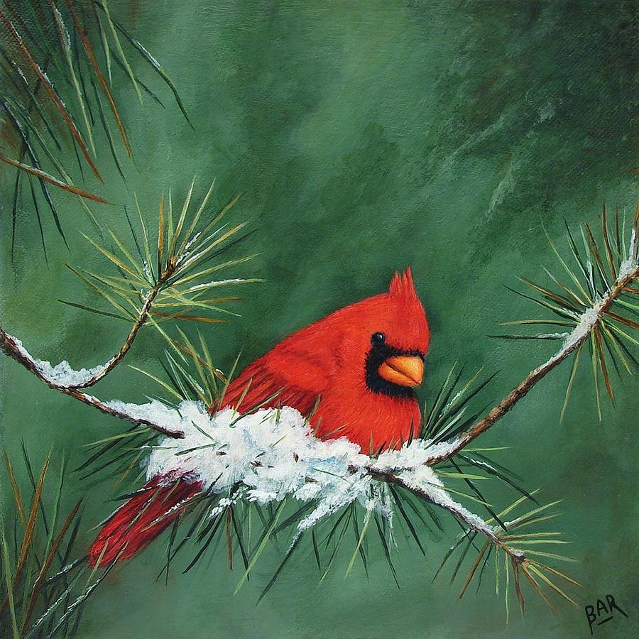 Red Cardinal Painting - Red Cardinal in Pine Tree by Barbara Robertson