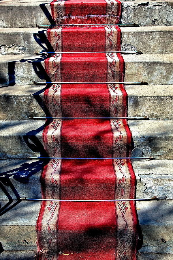 Red Carpet Treat Photograph by Burney Lieberman