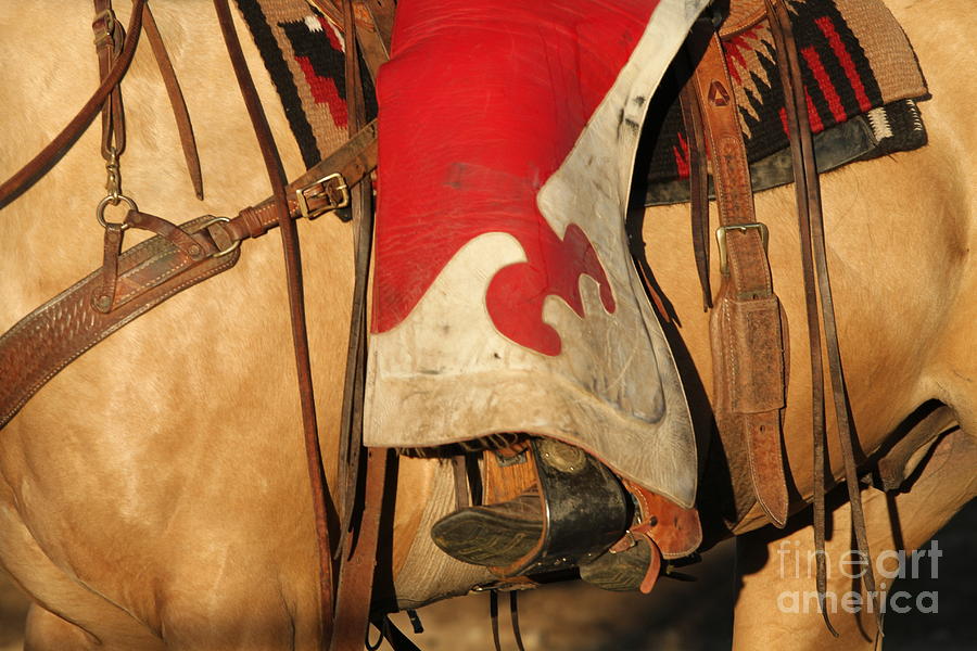 Red Chaps Photograph by Edward R Wisell