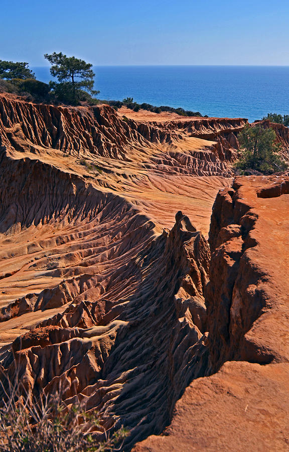 Red Cliffs Photograph by Jean Booth