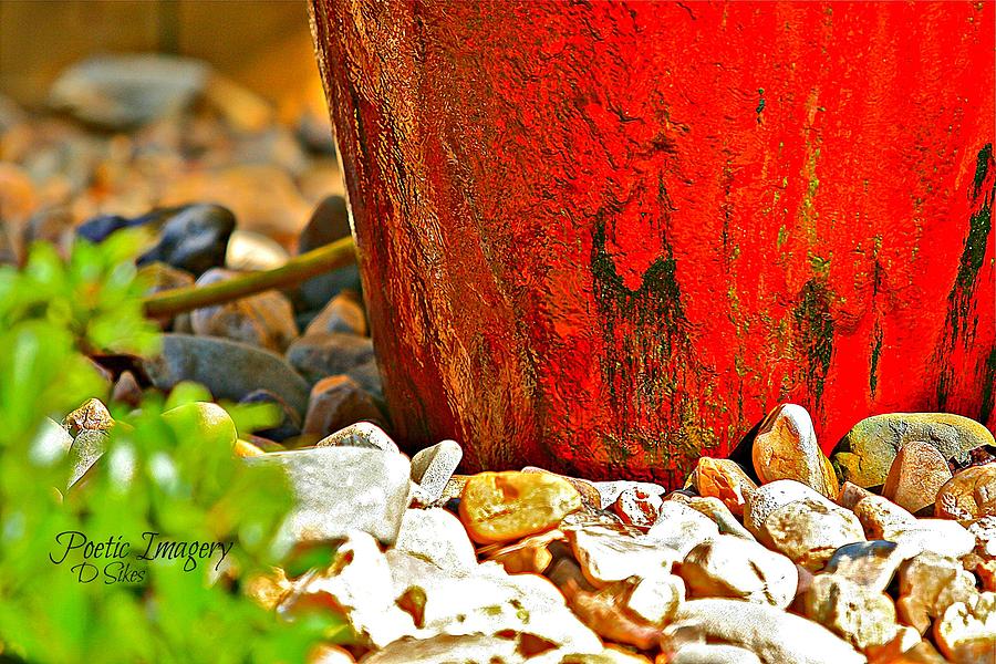 Red Photograph - RED by Debbie Sikes