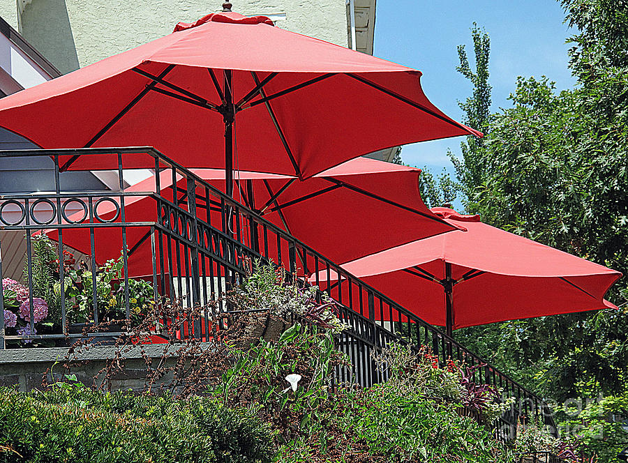 Red Deck Umbrellas Photograph by Louise Peardon