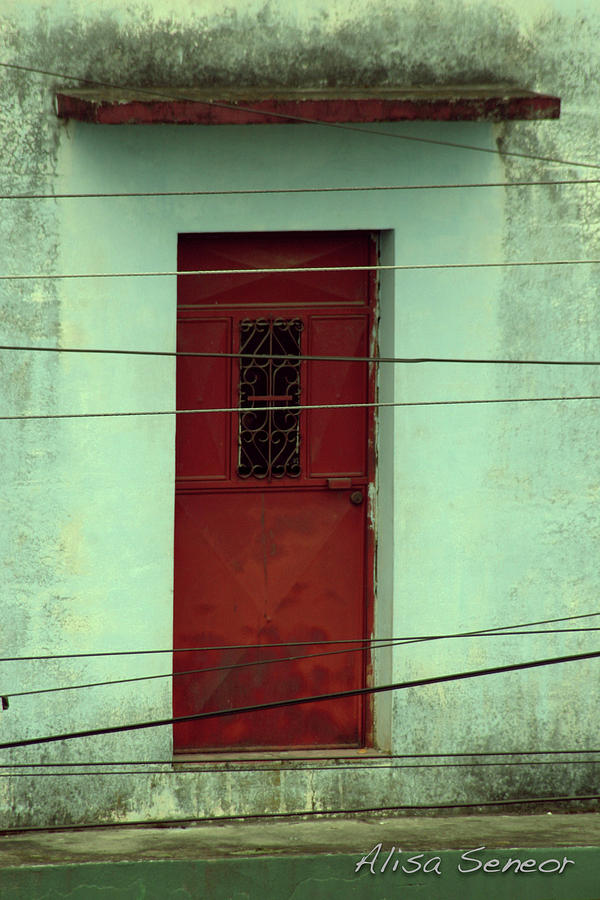 Red Door Close Photograph by Alisa Seneor