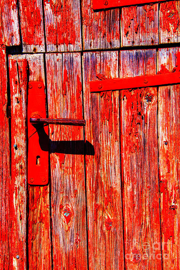 Red Door Photograph by Rick Bragan