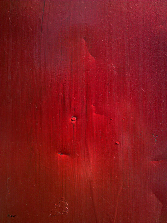 Red Photograph by Eena Bo