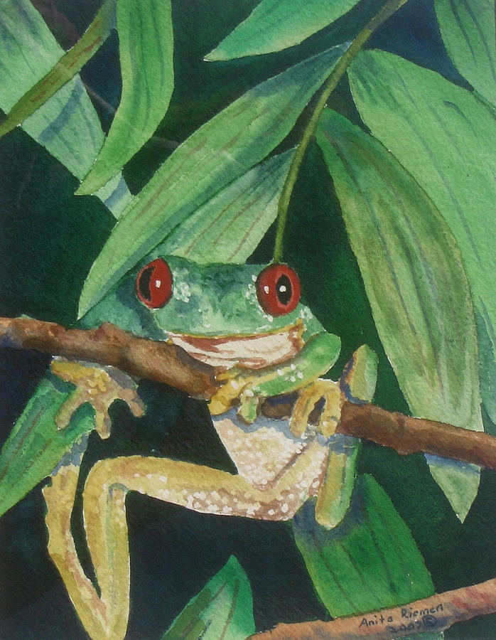 Red eyed Tree Frog II Painting by Anita Riemen