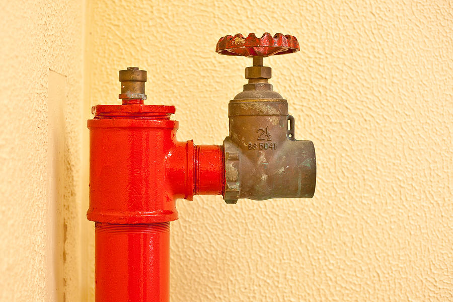 Device Photograph - Red fire hydrant by Tom Gowanlock
