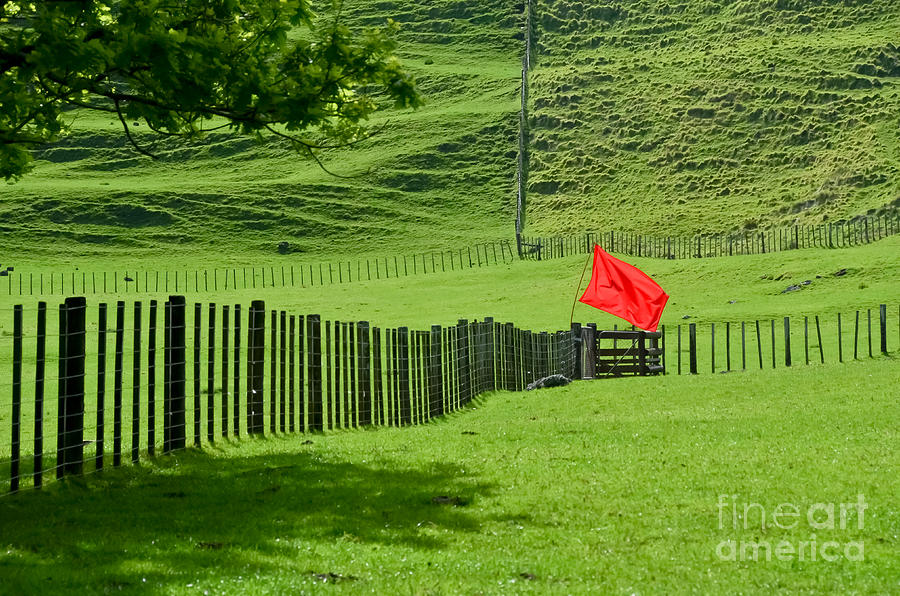 Red Flag Isolated on Green Photograph by Yurix Sardinelly