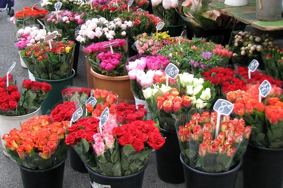 Red Flowers in French Flower Market Photograph by Carla Parris