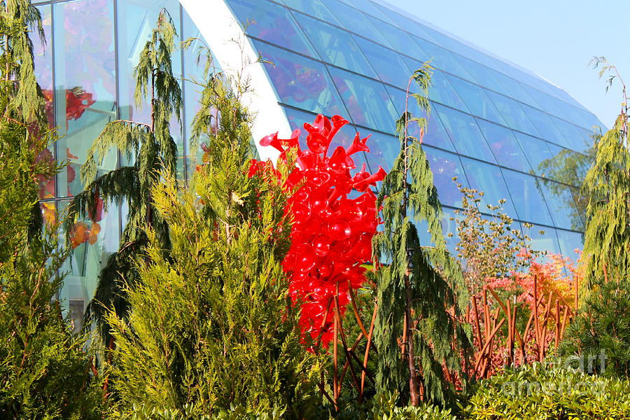 Red glass tree Photograph by Pamela Walrath